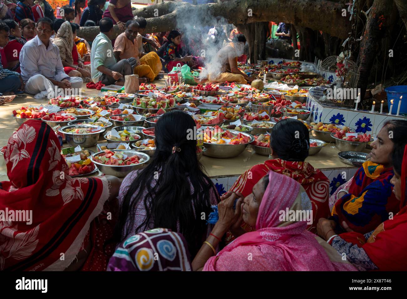 Local Indu Devotees gather to worship the banyan tree near Sonargaon Upazila ...