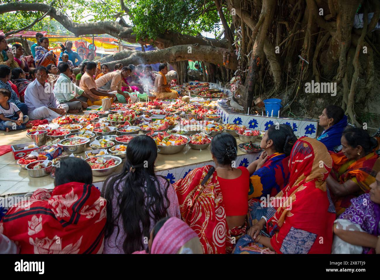 Local Indu Devotees gather to worship the banyan tree near Sonargaon Upazila ...