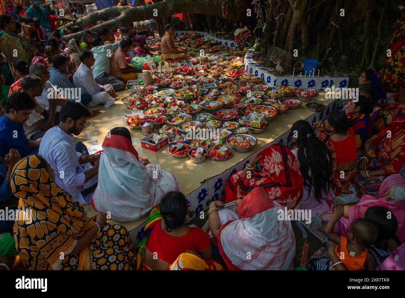 Local Indu Devotees gather to worship the banyan tree near Sonargaon Upazila ...