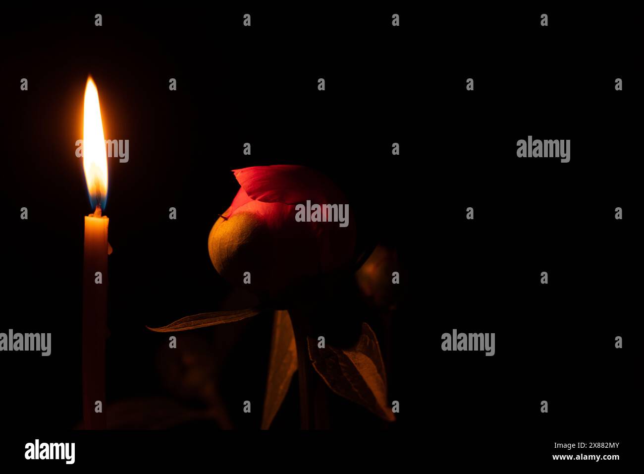Calendar rose flower burning hi-res stock photography and images - Alamy