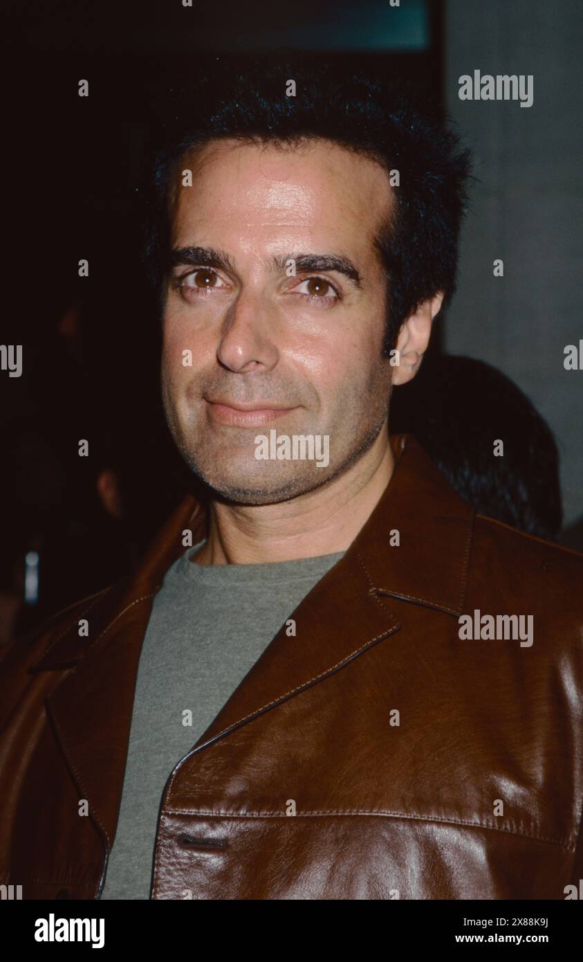 David Copperfield attends the grand opening party for Britney Spears ...