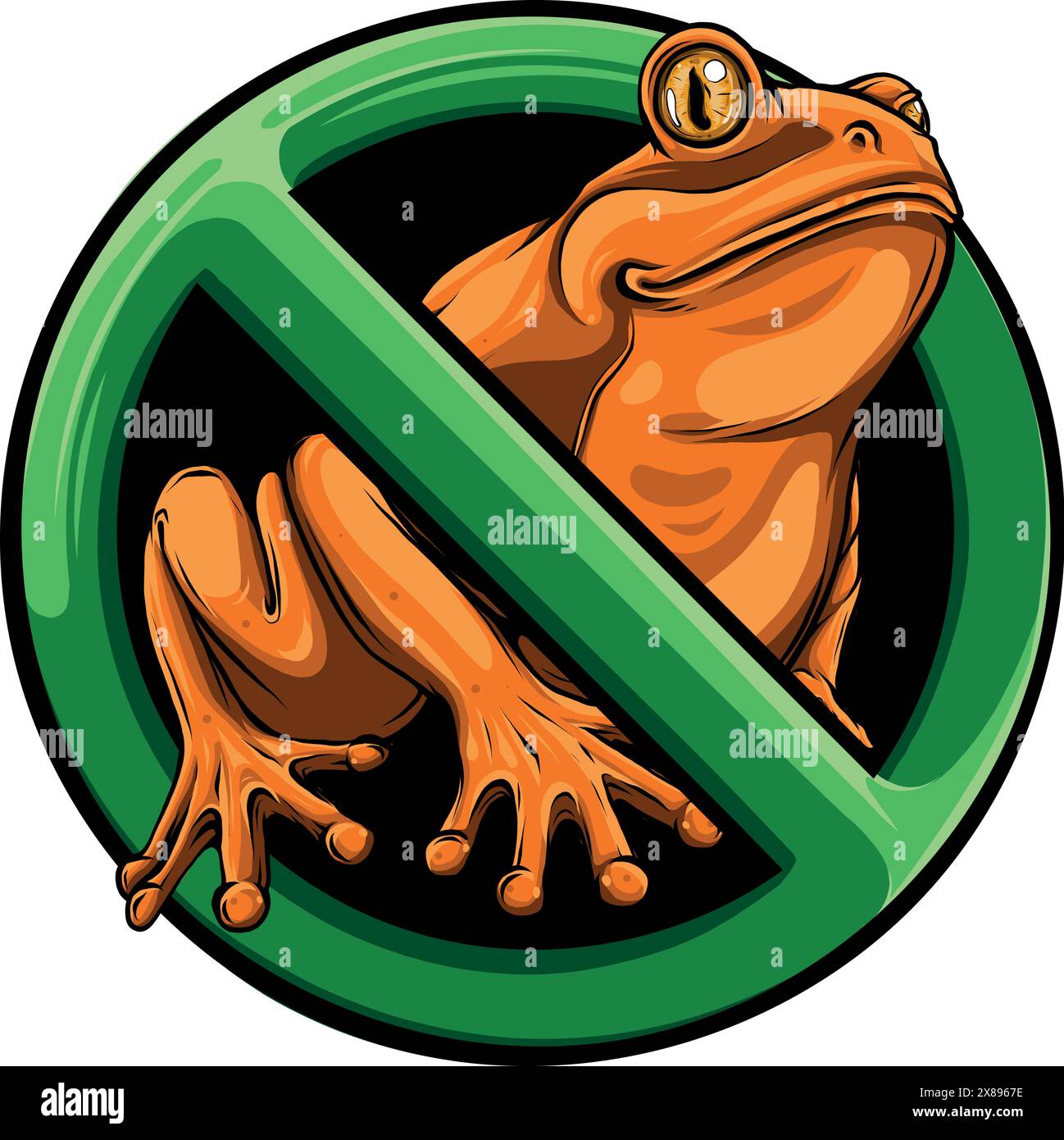 colored draw of frog vector illustration design Stock Vector Image ...