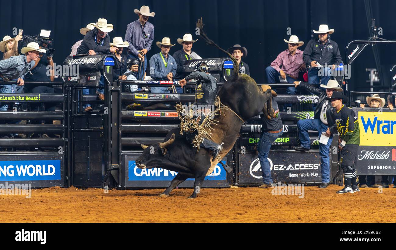 PBR World Finals 2024 in Dallas, Texas Bullfighter hanging on for eight seconds Stock Photo