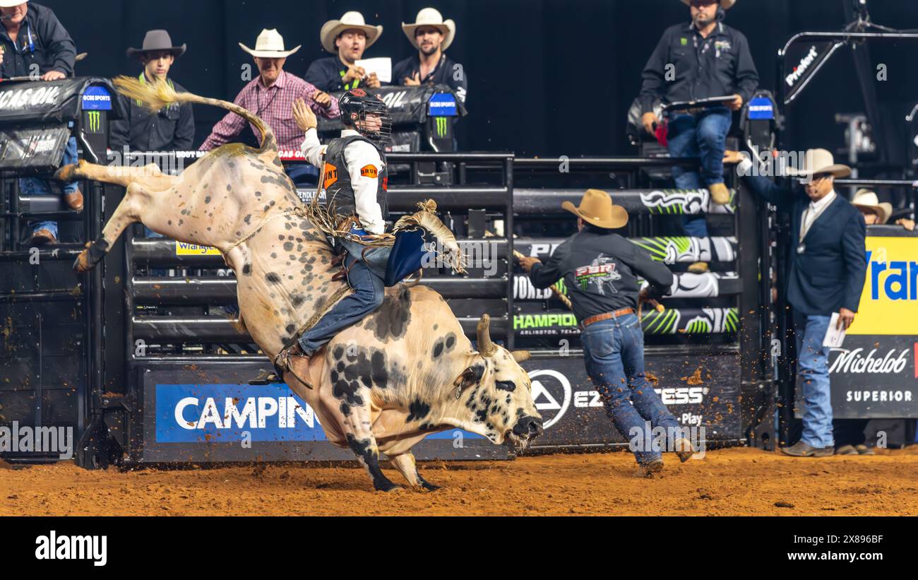 PBR World Finals 2024 in Dallas, Texas Bullfighter hanging on for eight seconds Stock Photo