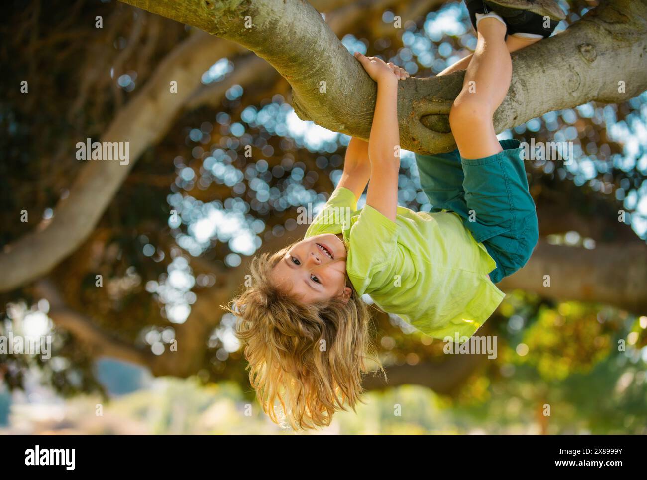 Young child blond boy climbing tree. Happy child playing in the garden climbing on the tree. Kids climbing trees, hanging upside down on a tree in a Stock Photo