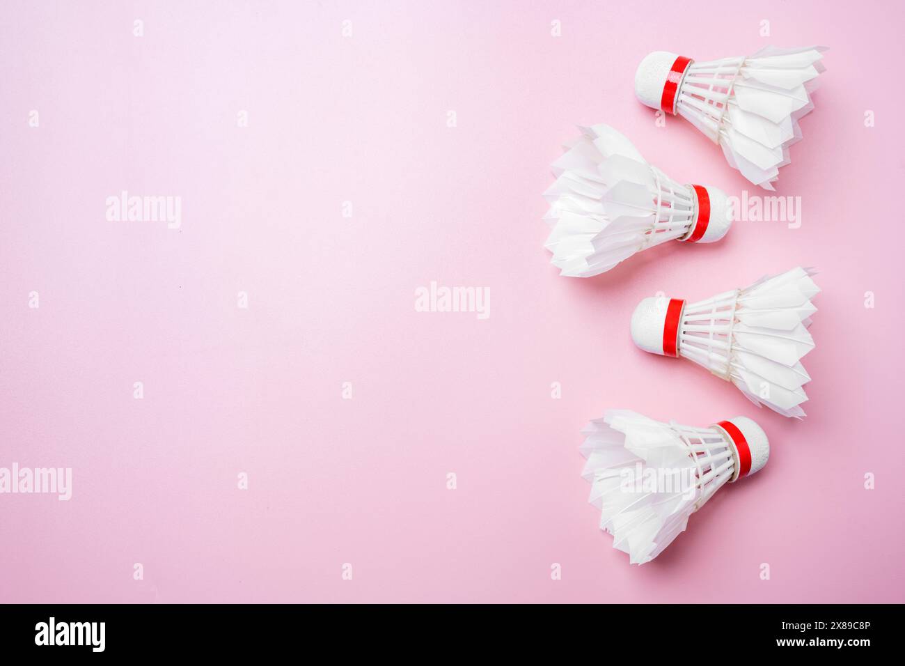Flat lay of three white badminton shuttlecocks with red details arranged diagonally on a vibrant pink background, providing space for text or design e Stock Photo