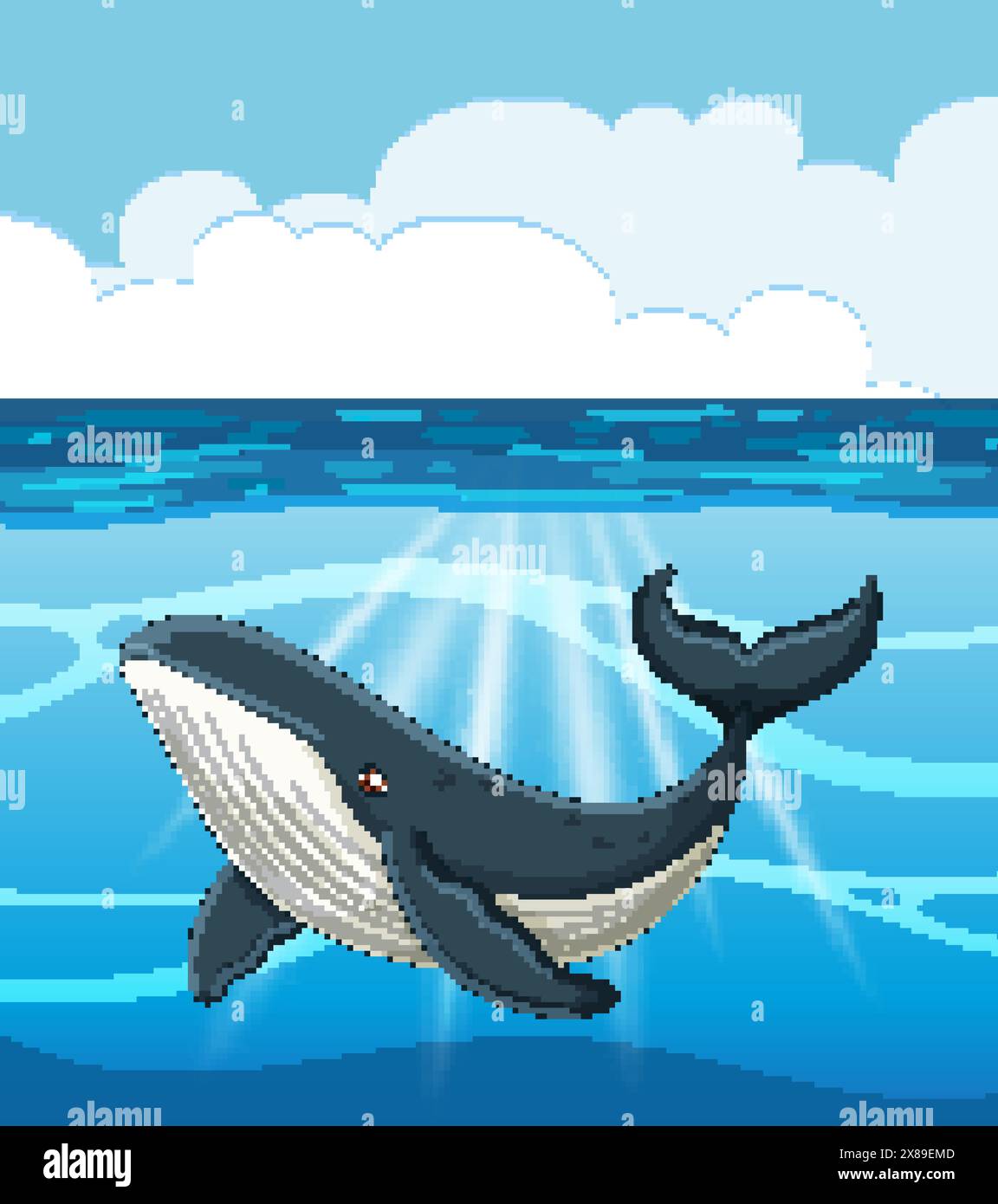 A whale swimming under the sun Stock Vector Image & Art - Alamy