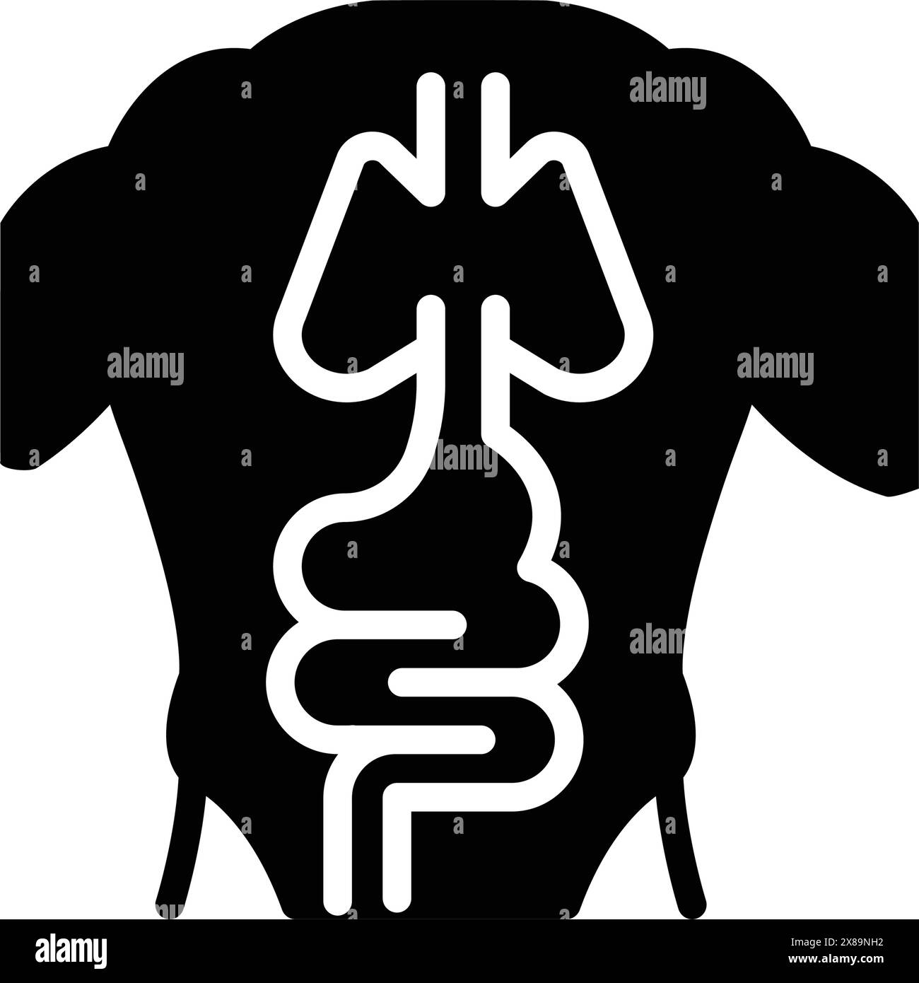 Icon for anatomy,body Stock Vector Image & Art - Alamy
