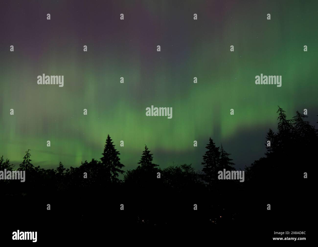 Aurora Borealis illuminates the night skies over Metro Vancouver on May ...