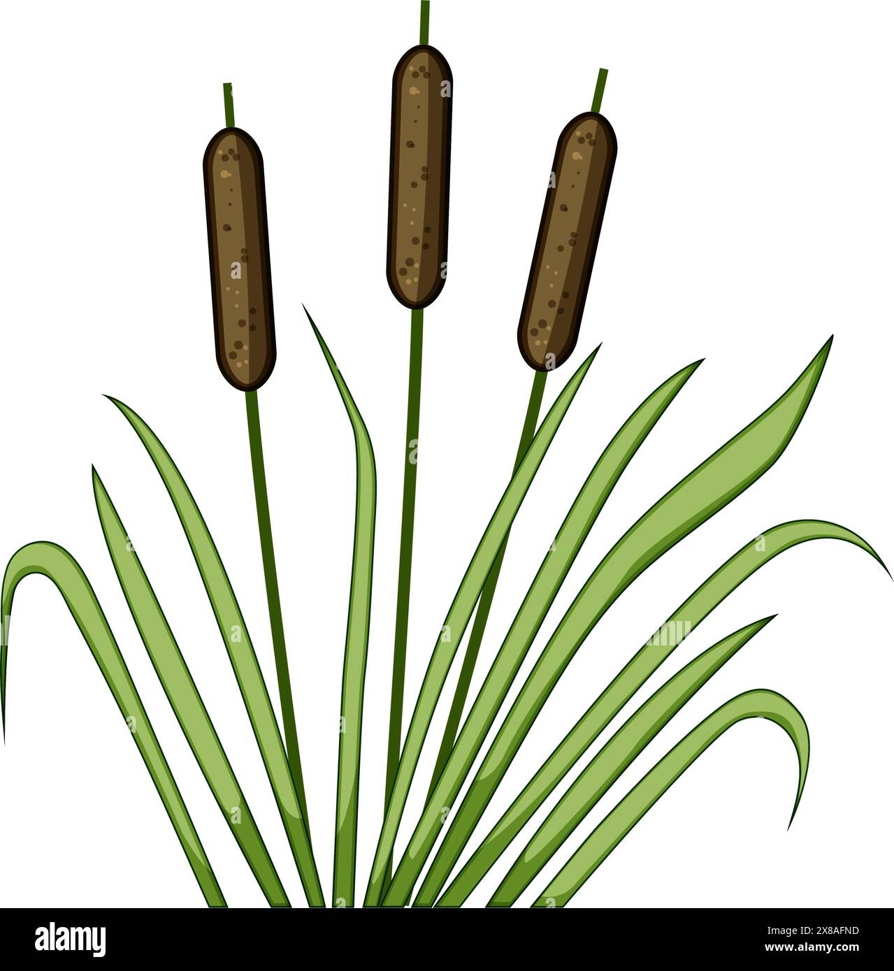 forest lake plant cartoon vector illustration Stock Vector Image & Art