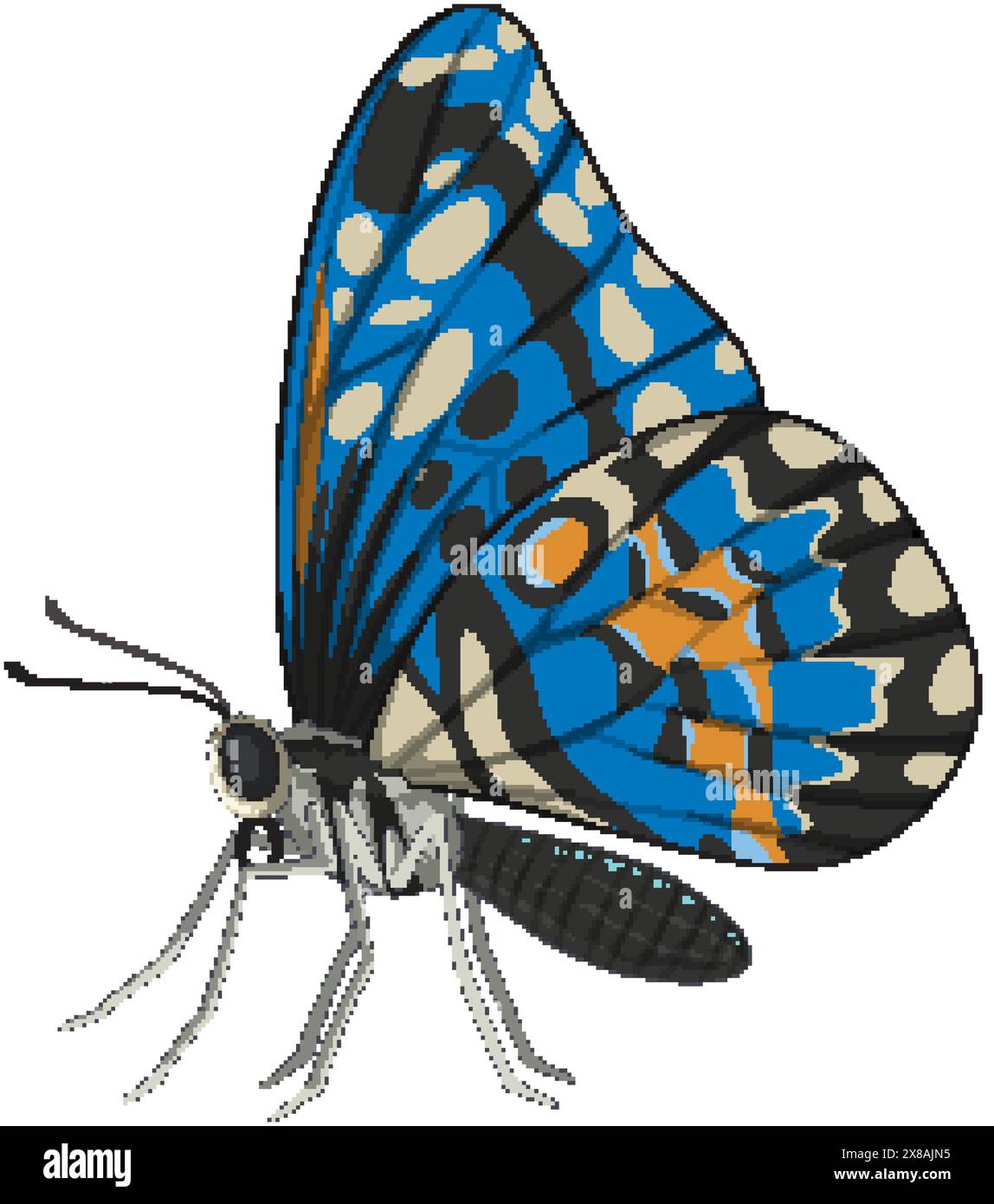 Colorful, detailed vector of a blue butterfly Stock Vector Image & Art ...