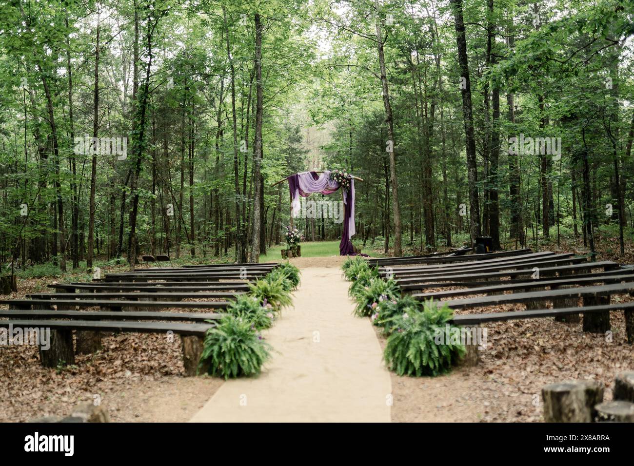 Outdoor wedding ceremony setup in a forest with a purple-draped altar Stock Photo