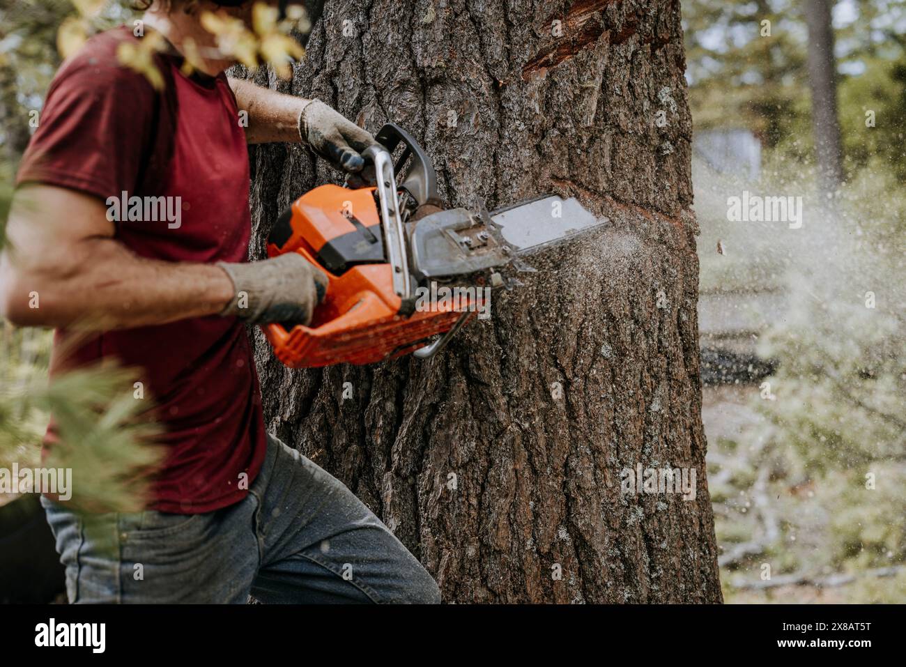 Old man uses chainsaw cut hi-res stock photography and images - Alamy