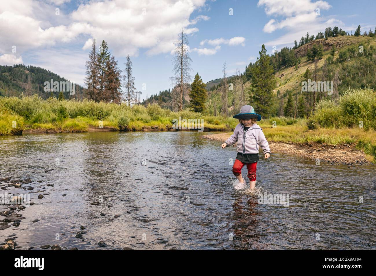 Child playing in a crystal clear stream in a forested area Stock Photo ...