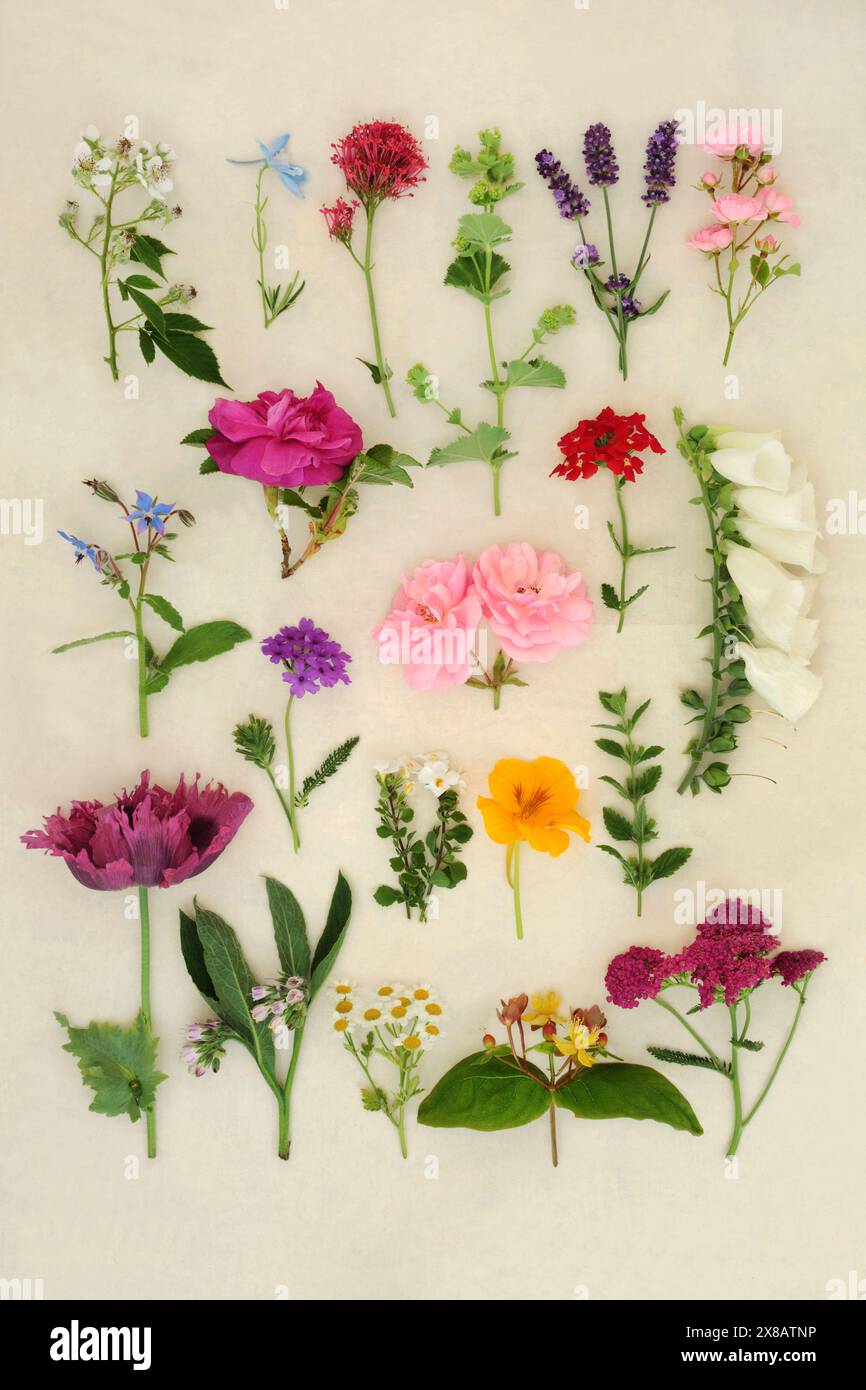 Large collection of summer English flowers, herbs and wildflowers. Used