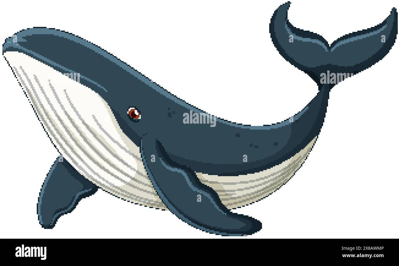 A detailed vector of a blue whale Stock Vector Image & Art - Alamy