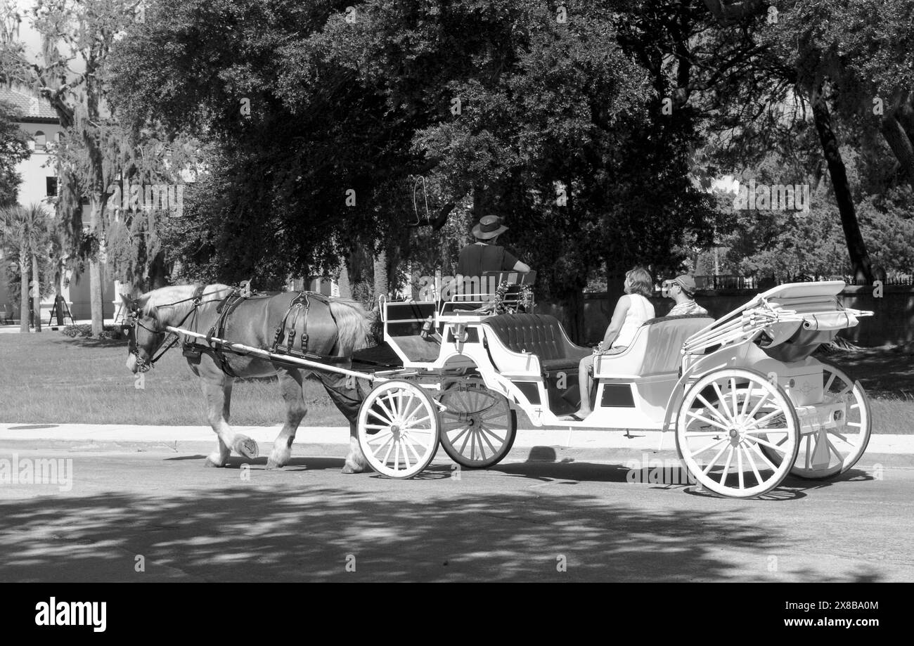 A couple riding in a horsedrawn carriage and sightseeing in St