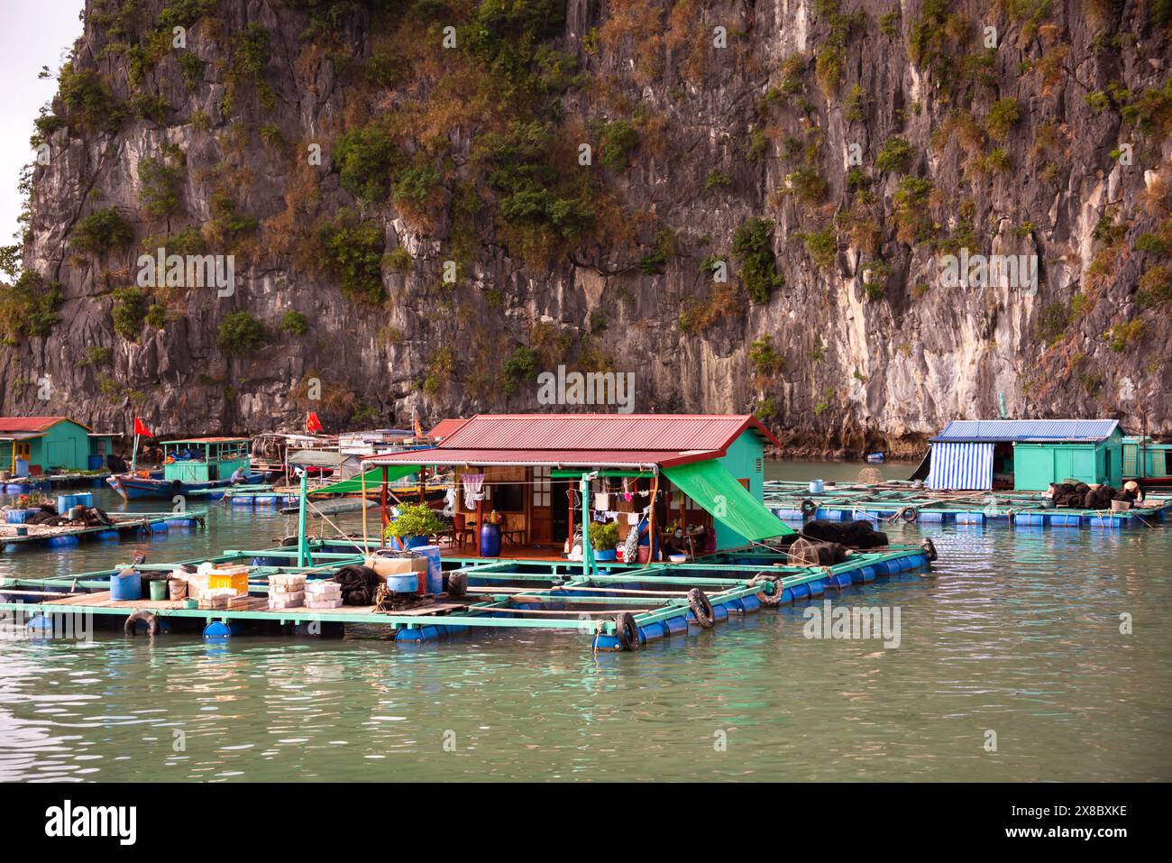 Floating village in sea bay in Vietnam Stock Photo - Alamy