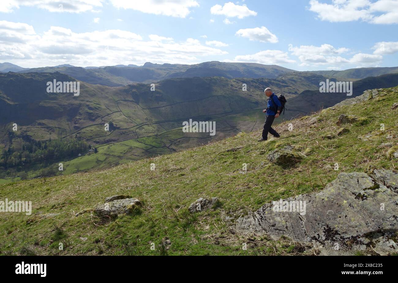 Lone Man (Hiker) Walking Downhill on the Wainwright 'Seat Sandal' to Grasmere in the Lake District National Park, Cumbria, England, UK. Stock Photo