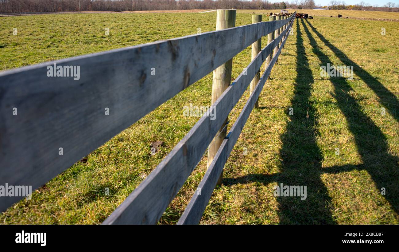 fence fading into the distance in a farm pasture Stock Photo - Alamy