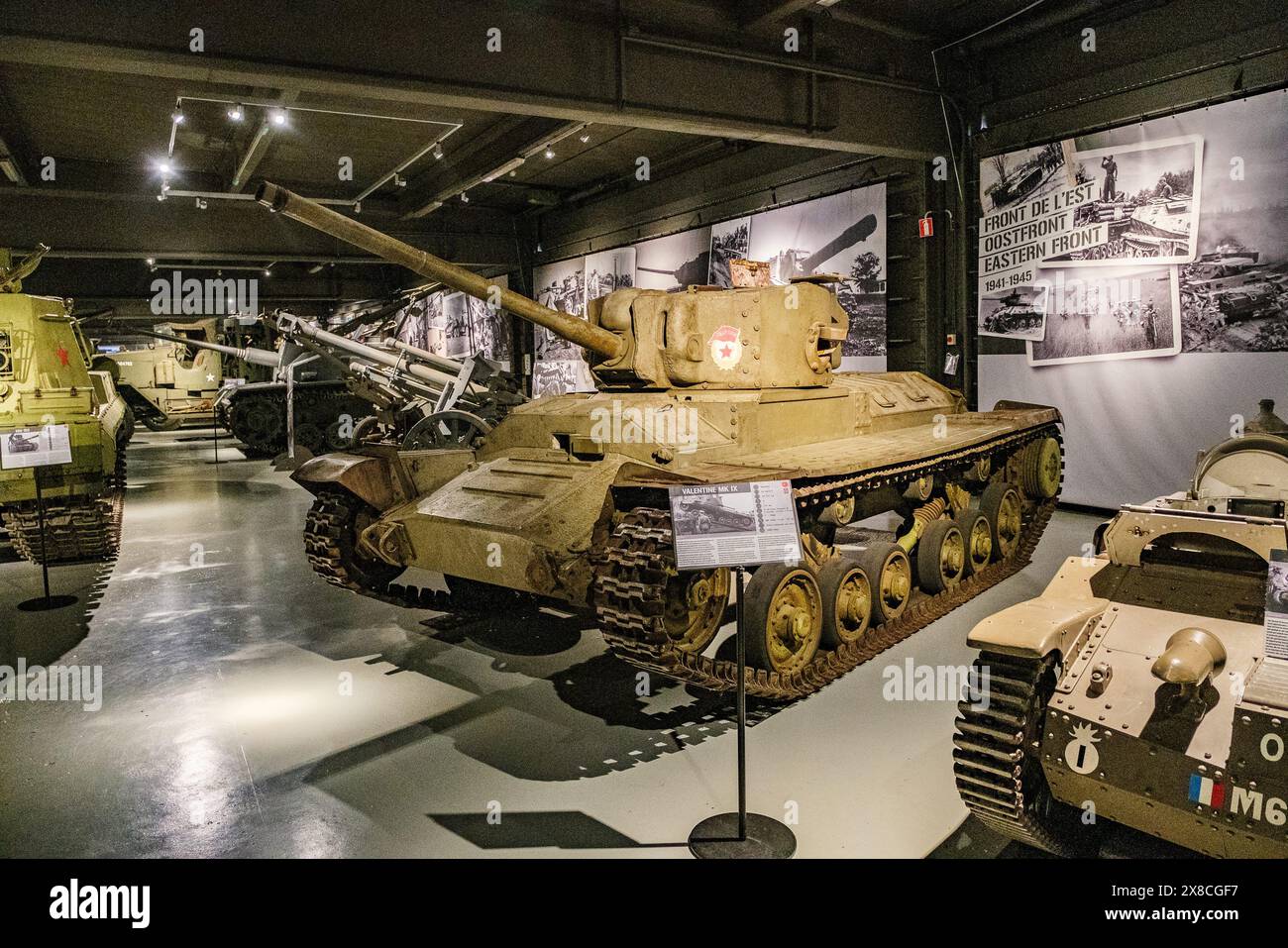 Arnaud BEINAT Maxppp 2024 05 19 Bastogne Belgique Mus e Des arnaud-beinat-maxppp-2024-05-19-bastogne-belgique-mus-e-des