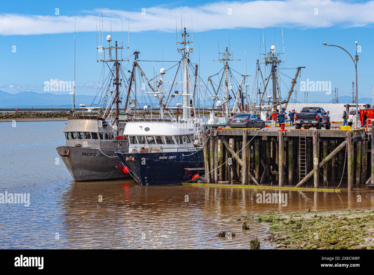 Commercial fishing boats at low tide in Steveston Harbour British ...