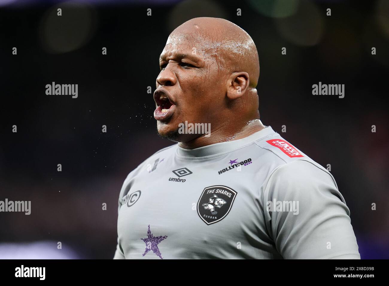 Hollywoodbet Sharks' Bongi Mbonambi warms up ahead of the EPCR ...