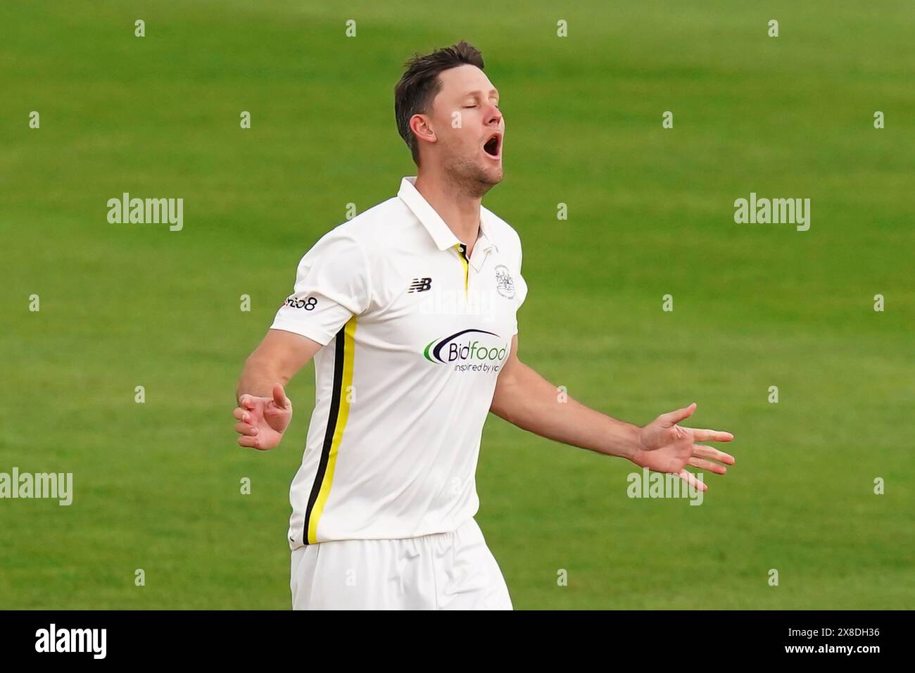 Bristol, UK, 24 May 2024. Gloucestershire's Beau Webster Cuts A ...