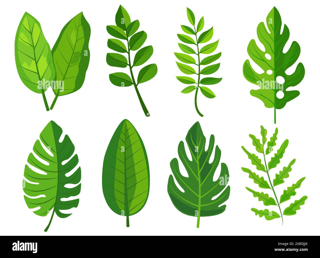 features eight different types of green leaves, each with distinct