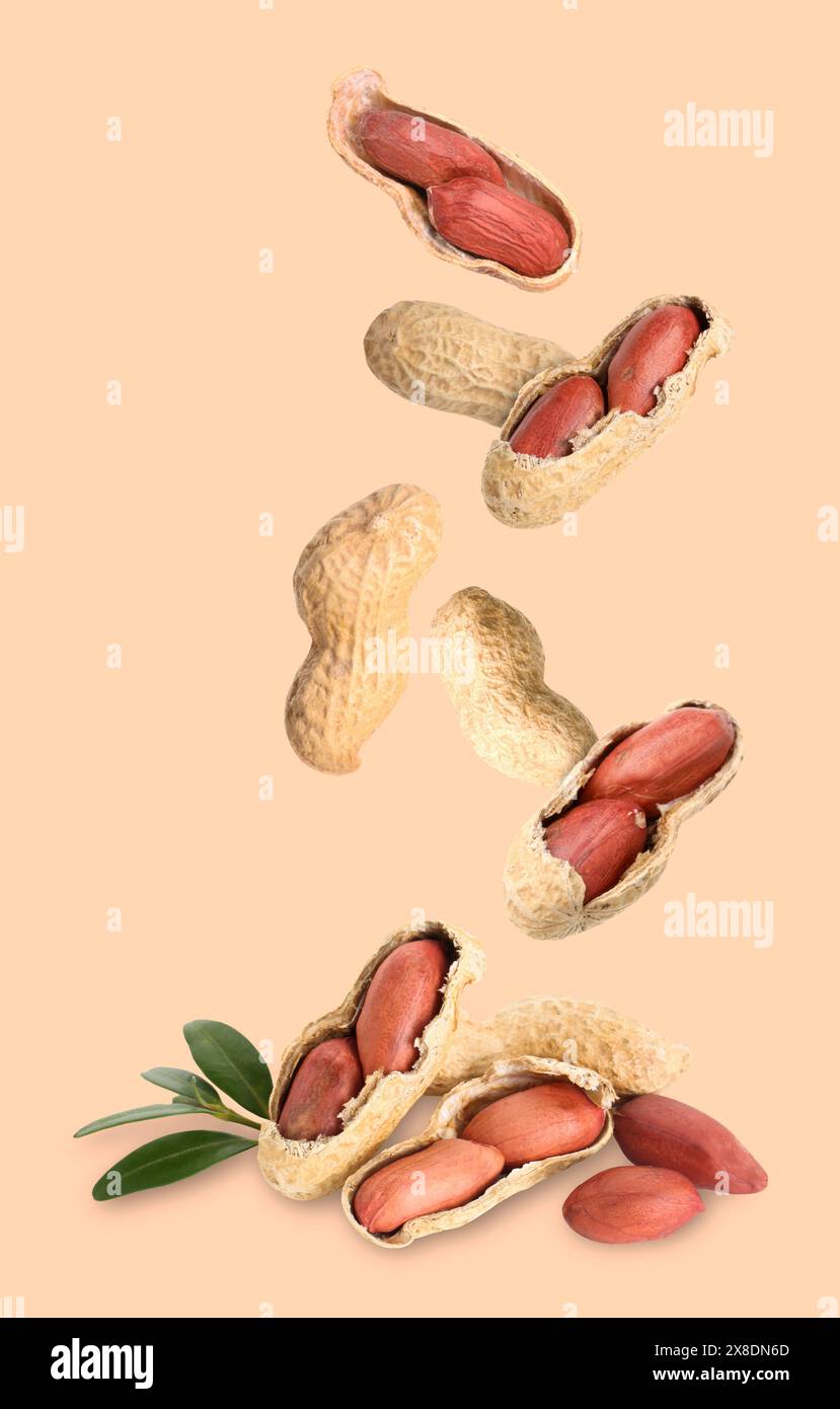 Fresh unpeeled peanuts falling on beige background Stock Photo