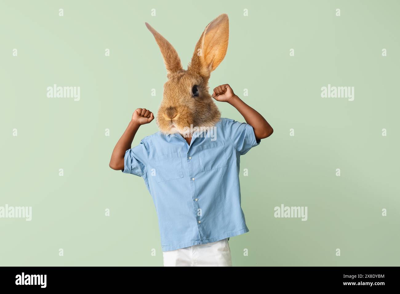 African-American man with head of bunny on color background Stock Photo ...