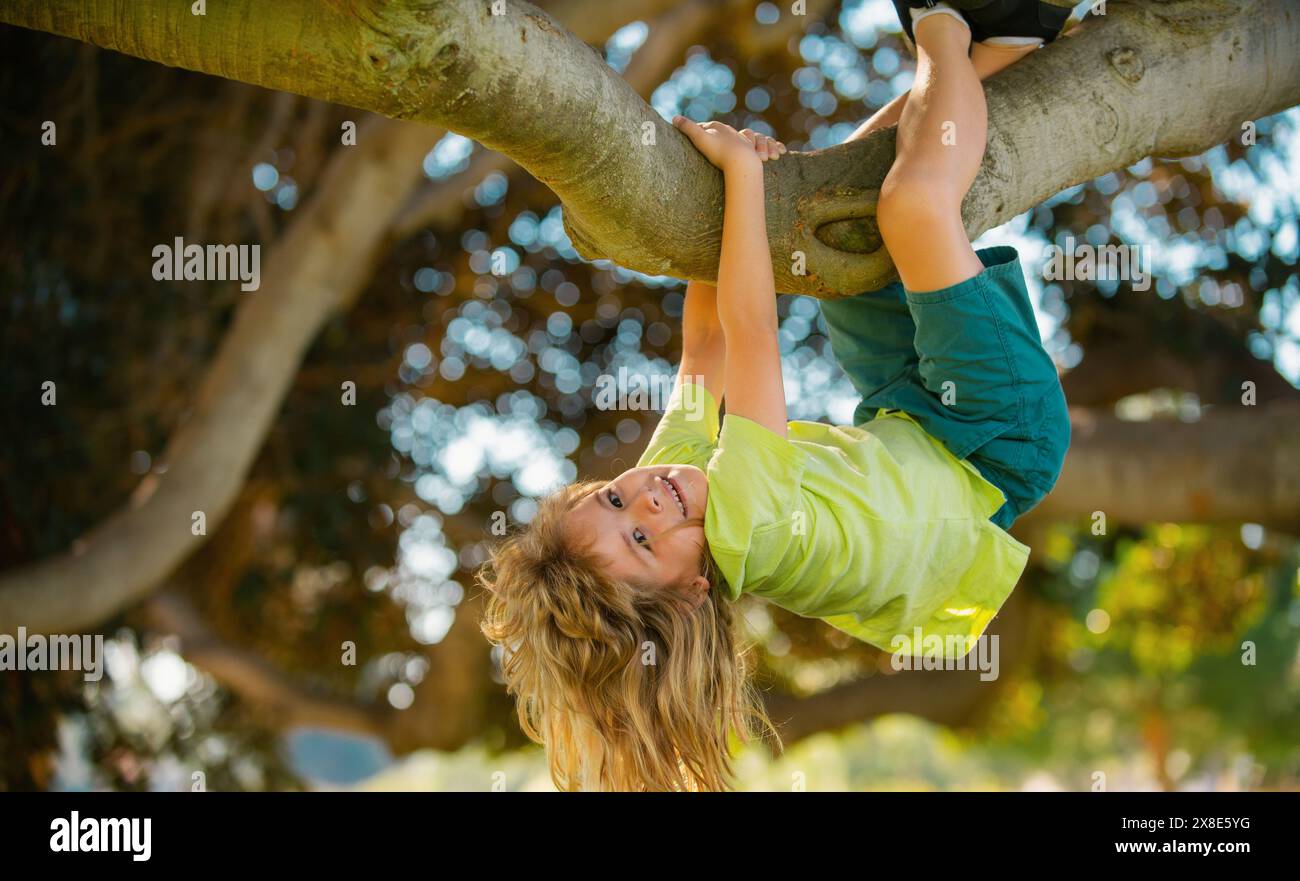 Childhood leisure, happy kids climbing up tree and having fun in summer park. Kids climbing trees, hanging upside down on a tree in a park. Boy climbs Stock Photo