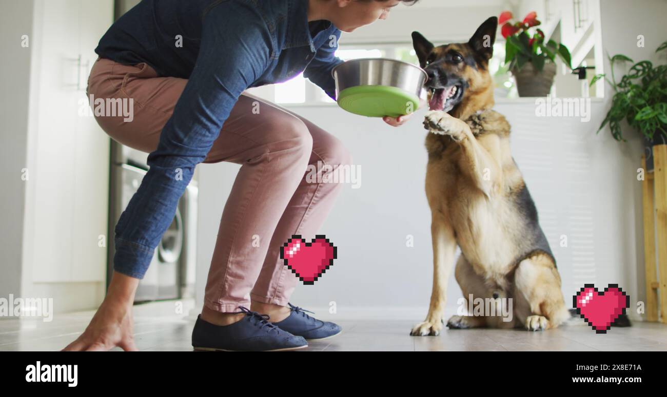 Image of red heart icons over caucasian woman with pet dog Stock Photo