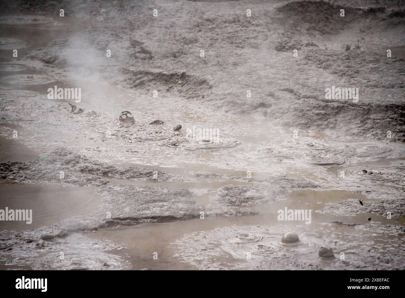 Mudpools in Te Puia - Rotorua - New Zealand Stock Photo