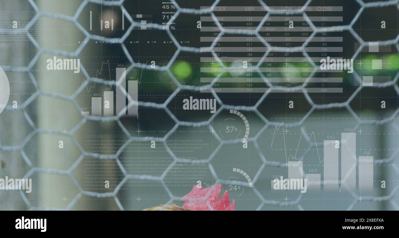 Chicken with computer hi-res stock photography and images - Alamy