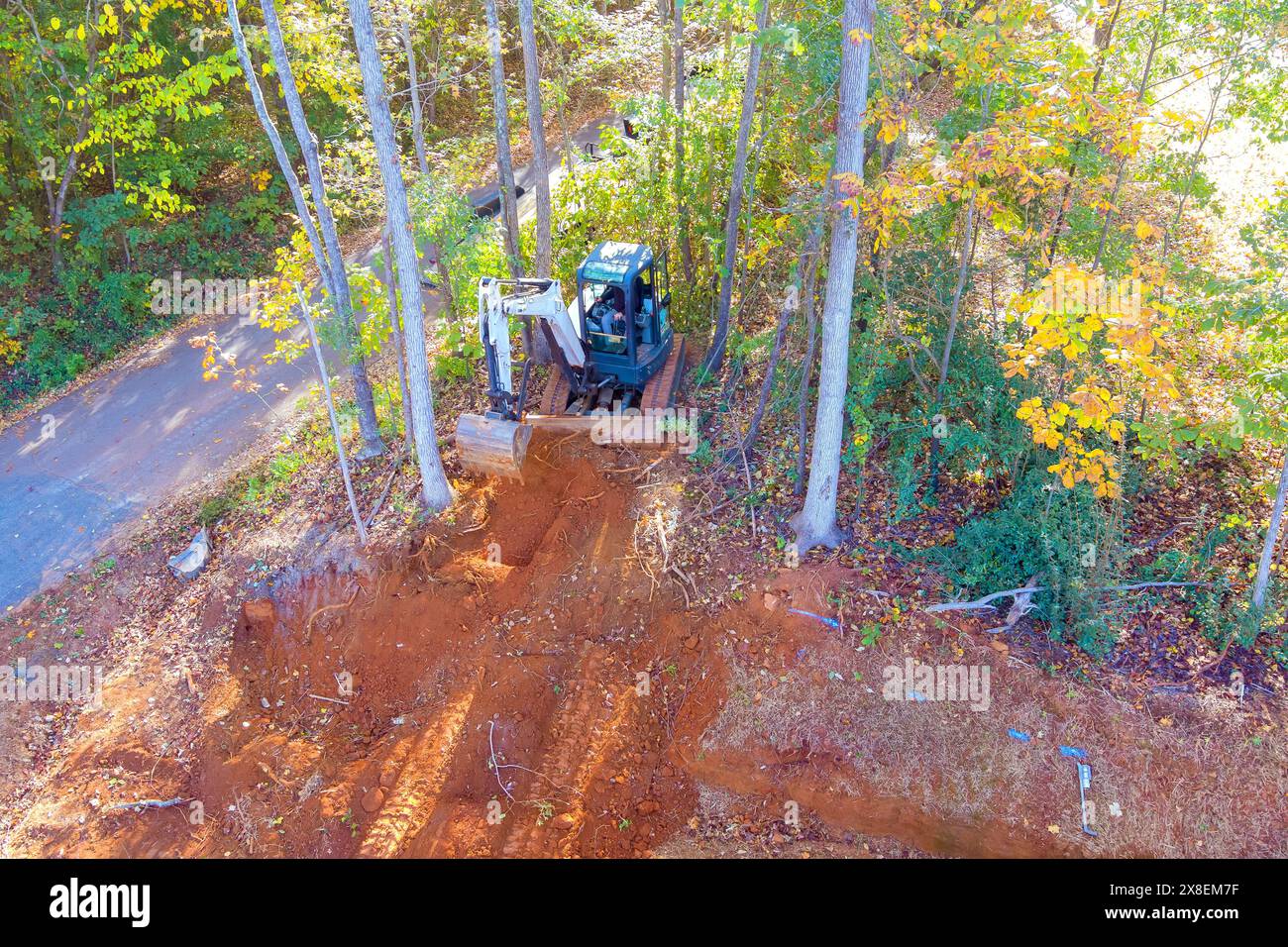 Tractors are used to uproot trees during construction to clear land ...