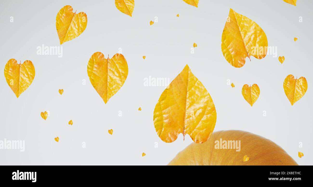 Image of leaves falling over pumpkins Stock Photo