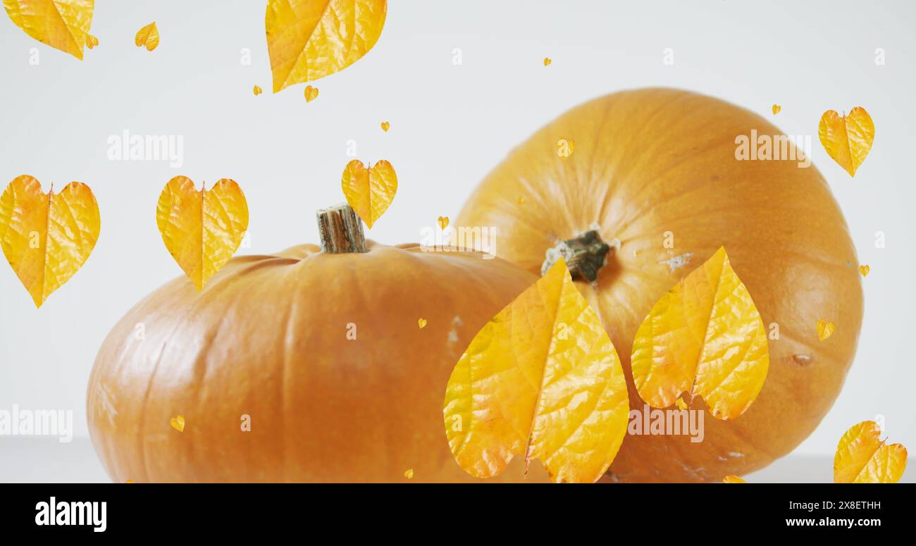 Image of leaves falling over pumpkins Stock Photo