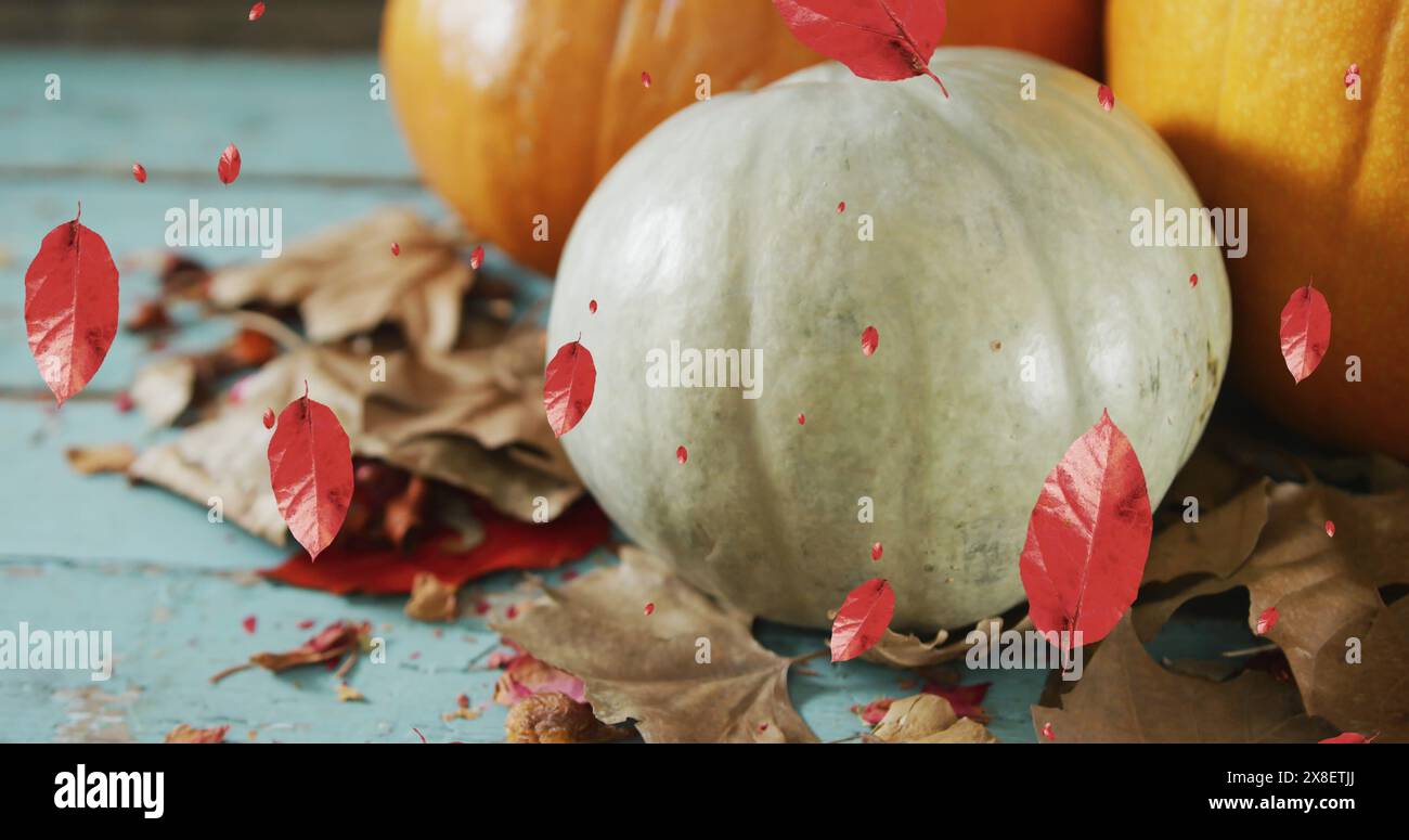 Image of leaves falling over pumpkins Stock Photo