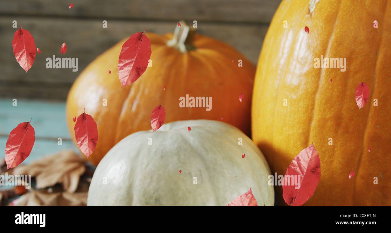 Image of leaves falling over pumpkins Stock Photo