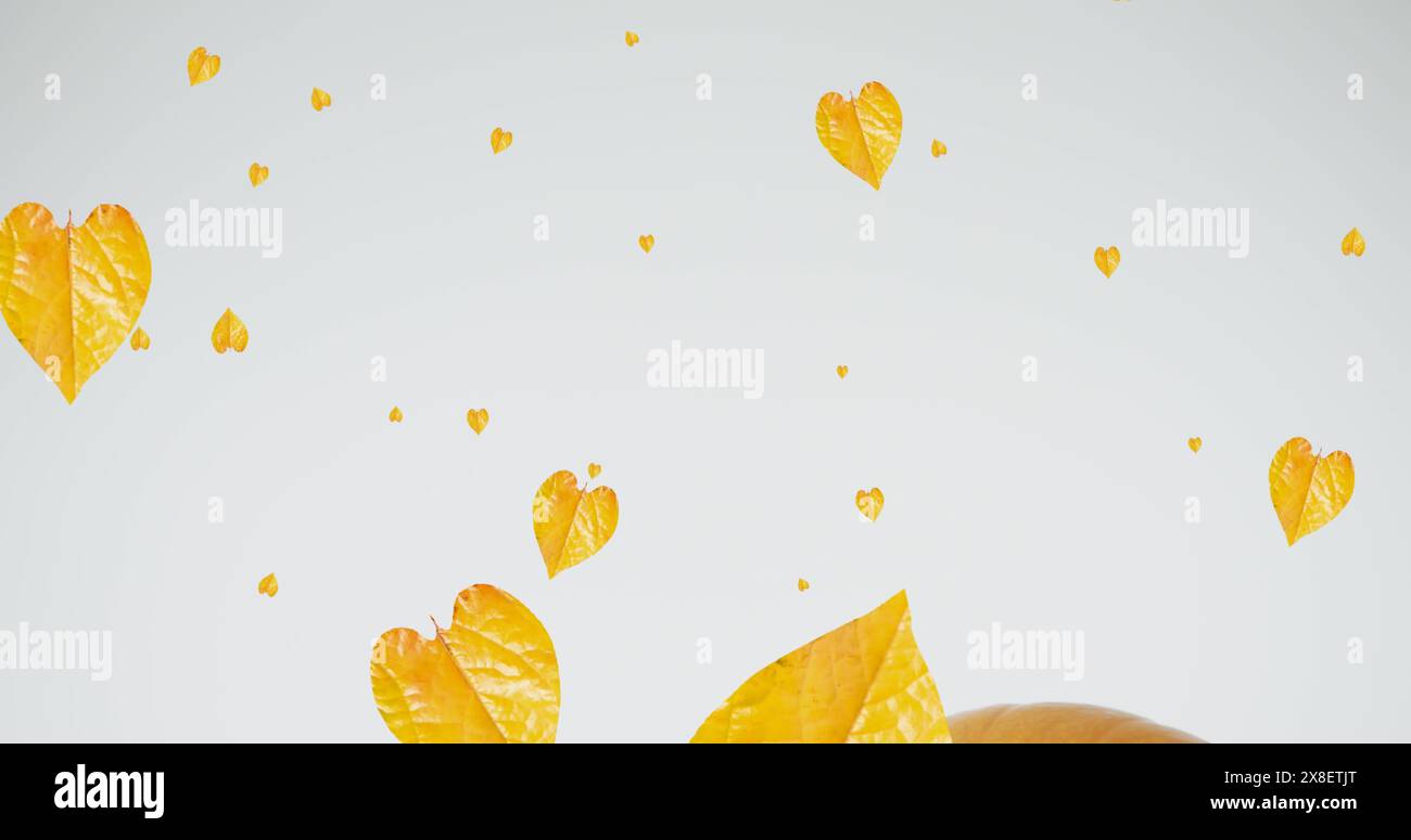 Image of leaves falling over pumpkins Stock Photo