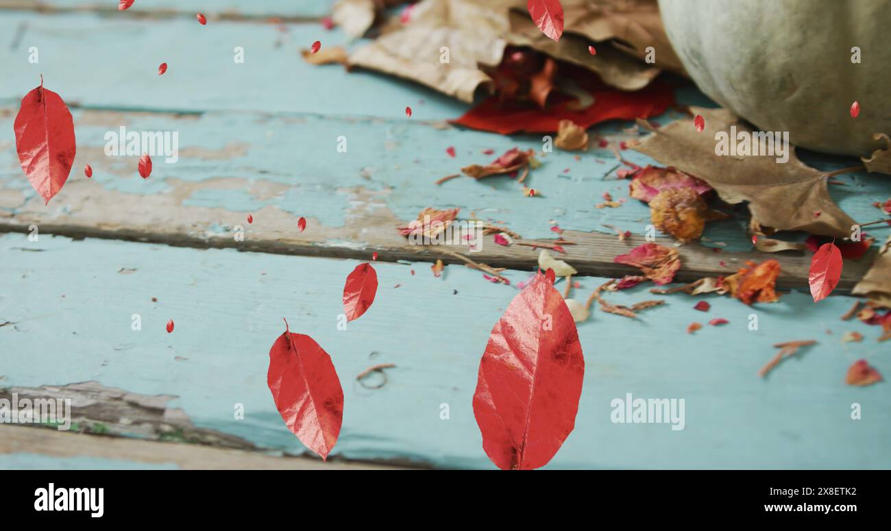 Image of leaves falling over pumpkins Stock Photo