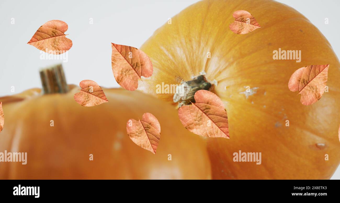 Image of leaves falling over pumpkins Stock Photo