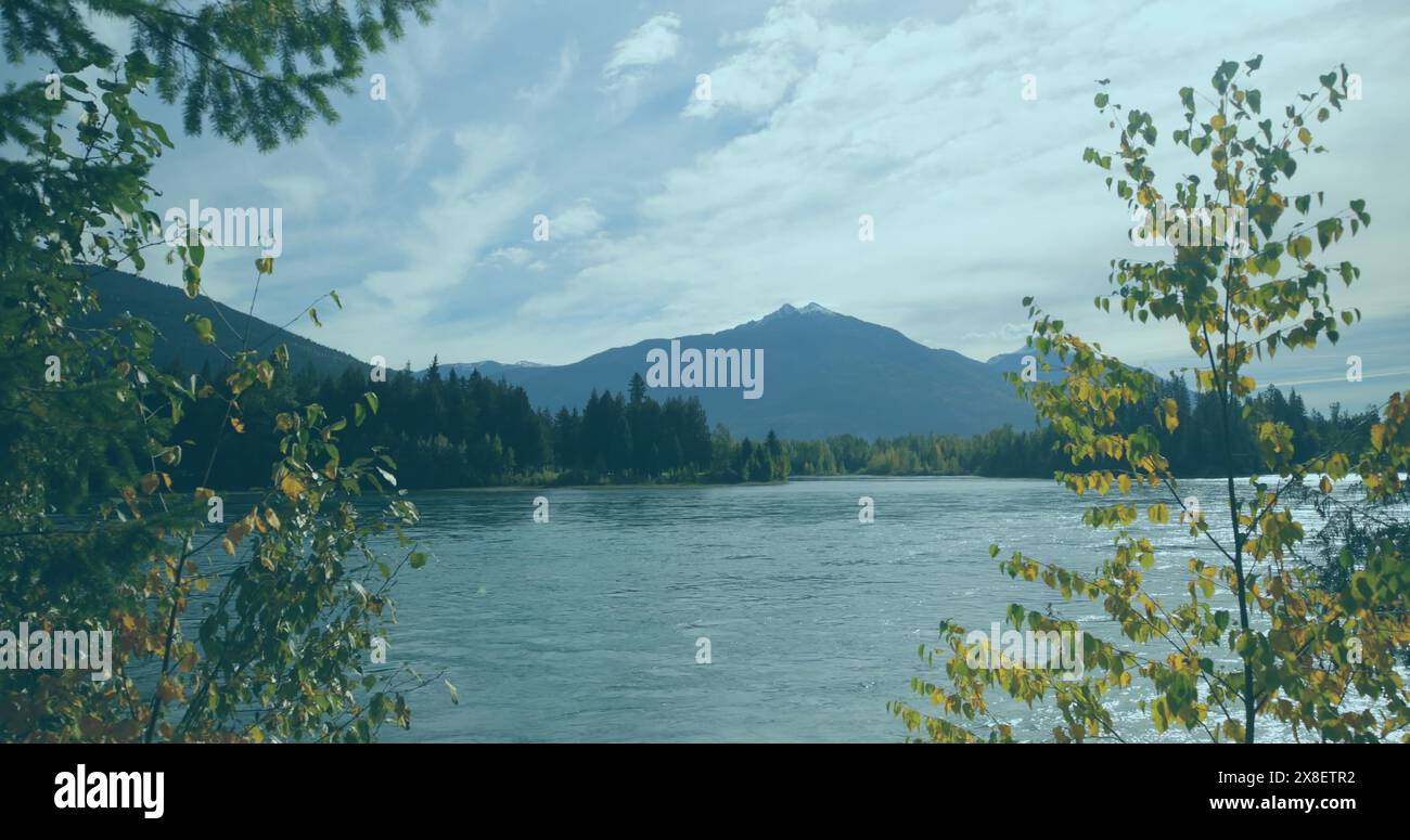 Trees surrounding calm river, with a mountain looming in distance Stock Photo