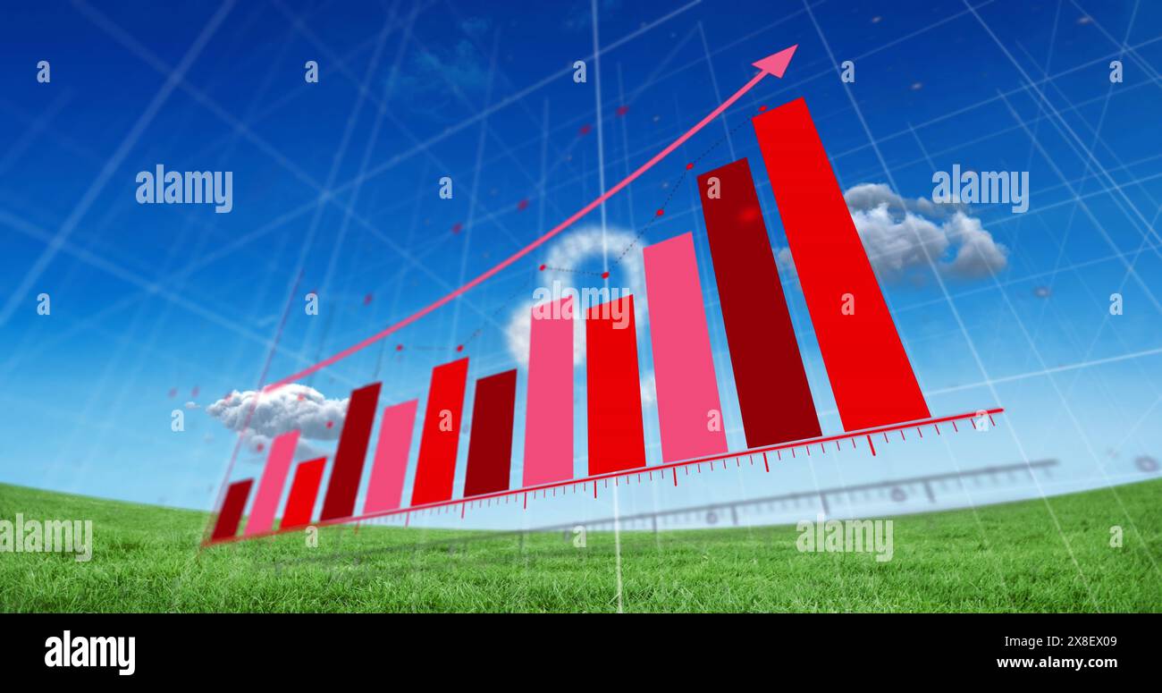 Image of statistical data processing against grassland and clouds in the blue sky Stock Photo