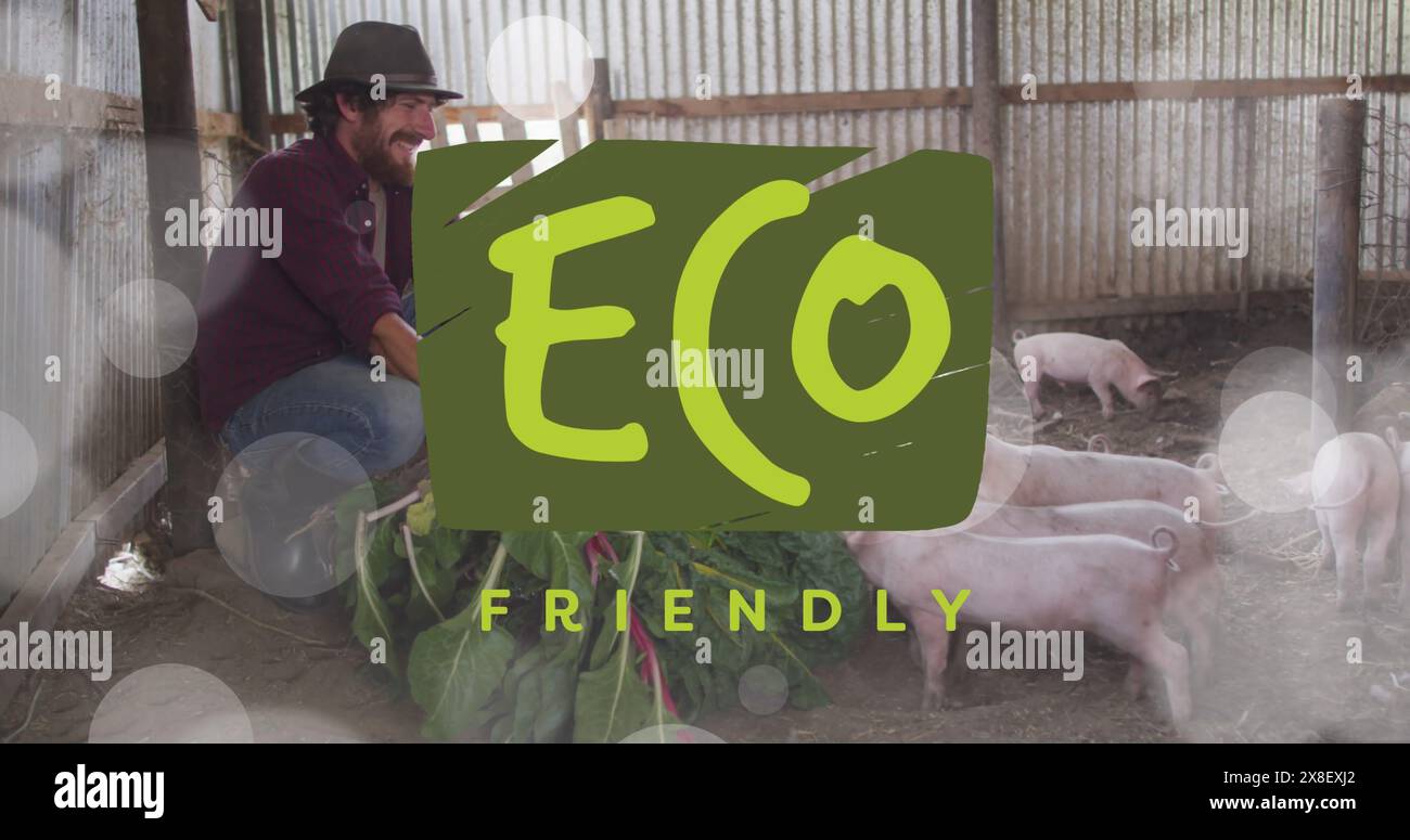 Image of eco friendly text banner over caucasian man feeding the pigs at a pig farm Stock Photo