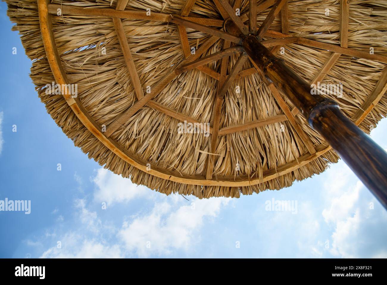 A unique perspective from beneath a
