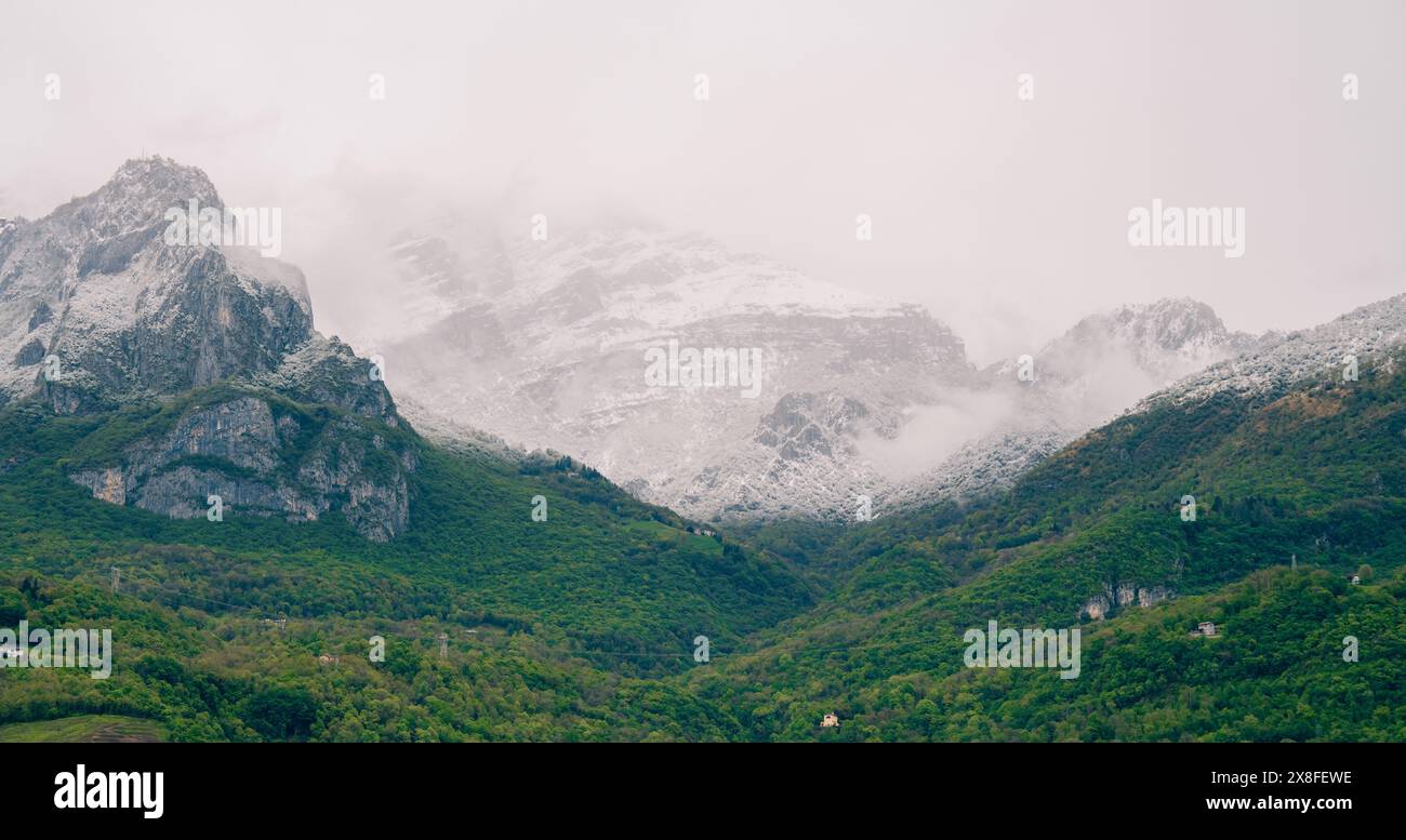 Lush greenery landscape hi-res stock photography and images - Alamy