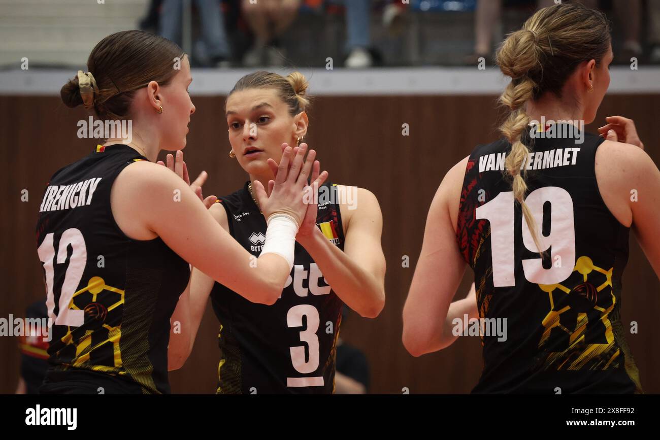 How the Yellow Tigers Turned the Tables Against France How the Yellow Tigers Turned the Tables Against France