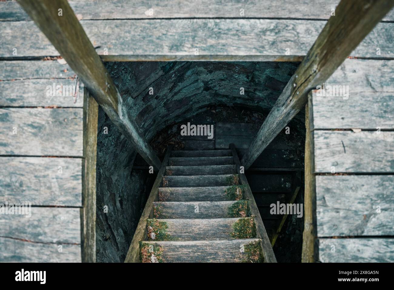 Tower Tower Wall Wall Castle Dungeon Castle Tower Stairs Steps tower-tower-wall-wall-castle-dungeon-castle-tower-stairs-steps